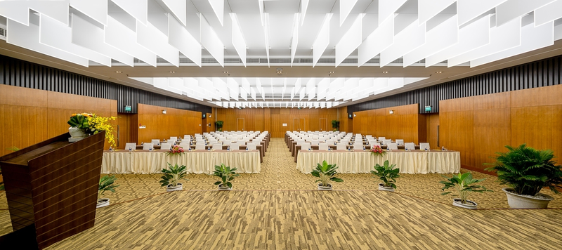 Conference Organization