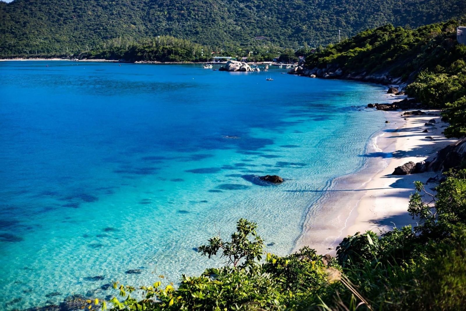 ecotourism-in-Da-Nang