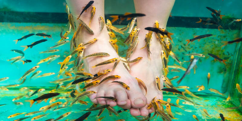 Du lịch mạo hiểm